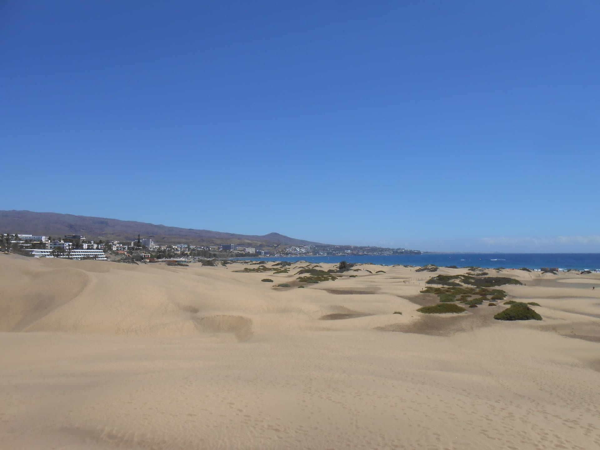 Maspalomas Dunes golden sandscape, Gran Canaria